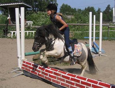 masi3[1].jpg - Roosa ja Masi